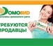 Фотография в Работа Вакансии Требуется продавец-консультант. Опыт в продажах в Комсомольск-на-Амуре 20 000