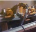 Foto в Хобби и увлечения Разное оборудование для художественной ковки: азовый в Рязани 0