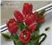 Фото в Образование Курсы, тренинги, семинары Хотите научиться лепить цветы из полимерной в Челябинске 700