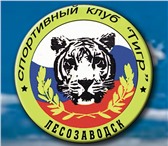 Фотография в Спорт Спортивные школы и секции Спортивный клуб «Тигр» объявляет набор детей в Лесозаводск 0