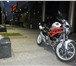 Фотография в Авторынок Мотоциклы Ducati Monster  В России один сезон,первый в Челябинске 249 000