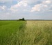 Фотография в Недвижимость Земельные участки Продам три земельных участка по 9 га каждый в Перми 450 000