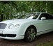 Фотография в Авторынок Аренда и прокат авто Компания "Luxury Cars" предлагает для Вас в Санкт-Петербурге 1 500