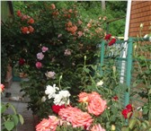 Фото в Недвижимость Продажа домов Продается кирпичный дом Краснодарский край в Тимашевск 6 500 000