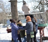 Изображение в Развлечения и досуг Организация праздников В моде активный отдых, а мы умеем его устраивать!Парк в Саратове 1 000