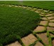 Фотография в Строительство и ремонт Разное Посев газона с подготовкой основания – снятие в Красноярске 50
