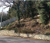 Изображение в Недвижимость Земельные участки Участок расположен в Ялте (пгт Кореиз), в в Ялта 1 975 000