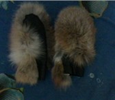 Фото в Одежда и обувь Аксессуары в наличии варежки мужские из енота для охотников в Москве 1 000