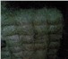 Изображение в Прочее,  разное Разное Сено в тюках из 5ти культур отличного качества, в Казани 150