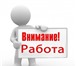 Изображение в Работа Вакансии Требуется мерчендайзер г.Бор Нижегородская в Саратове 0