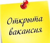 Изображение в Работа Вакансии Вакансия В Москве для всех граждан РФ.Требования в Санкт-Петербурге 15 000