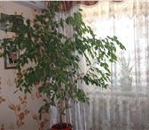 Фотография в Недвижимость Продажа домов Дом в п.Красный октябрь общая пл. -96,6, в Комсомольск-на-Амуре 1 600 000