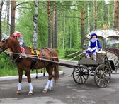 Foto в Прочее,  разное Разное Предлагаю услуги красивой кареты, запряженной в Томске 3 000