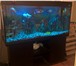 Фото в Домашние животные Рыбки Продается аквариум на 500 литров с тумбой в Москве 40 000