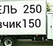 Фото в Авторынок Транспорт, грузоперевозки Пермь Газель Грузоперевозки 89124978442 Газель в Перми 150