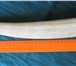 Foto в Хобби и увлечения Коллекционирование Продам клык (бивень) моржа, без трещин, длина в Краснодаре 10 000
