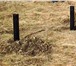 Foto в Строительство и ремонт Другие строительные услуги Фундамент для дома (строительство, ремонт, в Санкт-Петербурге 1 248