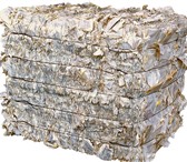 Фото в Прочее,  разное Разное Куплю журналы,газеты.Приём картонных втулок,шпуль,уголков в Москве 10 000