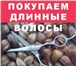 Foto в Красота и здоровье Косметические услуги Дорого покупаем волосы - женские, детские, в Москве 50 000