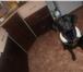 Изображение в Домашние животные Вязка собак ищем лабрадора-мальчика для вязки.нашей девочке в Нижнекамске 0