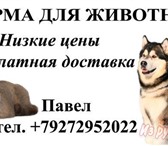 Изображение в Домашние животные Корм для животных Сухие корма для кошек и собак таких производителей в Самаре 1 250