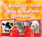 Фото в Развлечения и досуг Другие развлечения 14 февраля в 13.00 Северский зоопарк приглашает в Москве 0