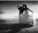 Фотография в Образование Разное Постановка свадебного танца. 

Дорогие будущие в Москве 1 800