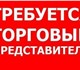 Требуется помощник торгового представите
