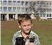 Продаются щенки мопса бежевого и черного окраса, с очень титулованной родословной, красивые, пр 68165  фото в Ростове-на-Дону