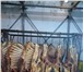 Изображение в Прочее,  разное Разное Мясо говядина 1 категории(туши, полутуши, в Москве 210