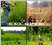 Фотография в Строительство и ремонт Ландшафтный дизайн Мы предлагаем покос травы и камыша жителям в Москве 300