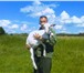 Изображение в Домашние животные Другие животные Зааненскии казел покроит ваших коз за вознагрождение в Туле 500
