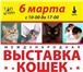 Изображение в Домашние животные Выставки кошек Дорогие Друзья!Приглашаем ВАС посетить Международную в Саратове 0