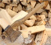 Фотография в Прочее,  разное Разное Предлагаю свои услуги по быстрой и качественной в Нижнем Новгороде 200