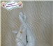 Изображение в Одежда и обувь Разное 3Д копии рук молодоженов, влюбленных, юбиляров в Красноярске 2 000