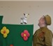 Фото в Развлечения и досуг Организация праздников Кукольные спектакли для детей Заказать кукольный в Волгограде 0