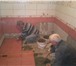 Изображение в Строительство и ремонт Ремонт, отделка Русская бригада без посредников и лишних в Нижнем Новгороде 0