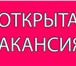 Фото в Работа Вакансии Требуются сотрудники для работы в известную в Москве 27 000