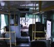 Изображение в Авторынок Авто на заказ Пассажирские перевозки автобусом ПАЗ вместимостью в Вологде 0