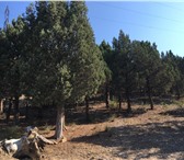 Изображение в Недвижимость Земельные участки Продажа участка в Ялте Южный берег крыма в Ялта 7 680 000