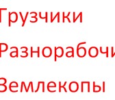 Фото в Прочее,  разное Разное ПЕРЕЕЗДЫ-ГРУЗЧИКИ. Подъём стройматериалов. в Туле 0