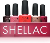 Foto в Красота и здоровье Косметика продам гель лак shellac CND CREATIV (оригинал) в Красноярске 750