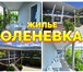 Foto в Хобби и увлечения Разное Отдых в Оленевке на Крымских Мальдивах !Наш в Евпатория 3 500