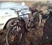 Фото в Авторынок Мотоциклы Куплю односкоростной мопед с педалями на в Пензе 0
