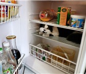 Фотография в Электроника и техника Холодильники профессиональный ремонт холодильников отечественных в Перми 0