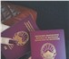 Фотография в Прочее,  разное Разное Мы переводим устно и письменно тексты и документы в Краснодаре 300