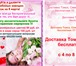 Фото в Прочее,  разное Разное Специальное коммерческое предложение на 8 в Томске 0