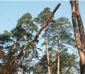 Изображение в Прочее,  разное Разное Опиловка. Быстро, качественно, точно в срок, в Воронеже 1 000