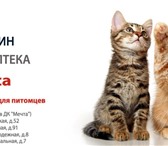 Фотография в Домашние животные Услуги для животных Ветеринарная клиника в Алабино 24 часа (Наро-Фоминский в Москве 1
