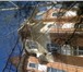 Foto в Недвижимость Продажа домов Коттедж под отделку в элитном районе Куркино. в Москве 0